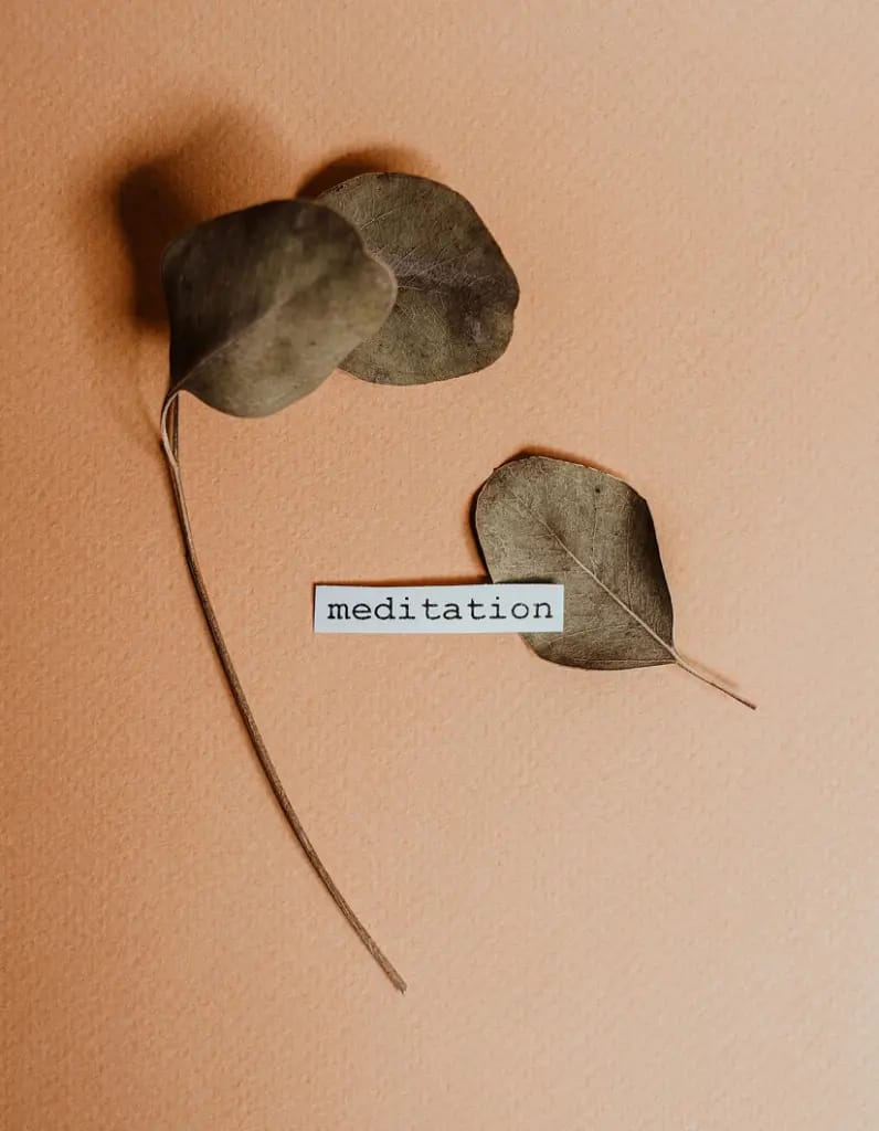 Dried leaves beside a label reading “meditation”